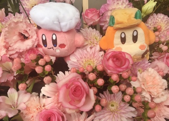 KIRBY CAFE TOKYO | Tumblr