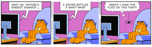 Garfield - 2019-02-27