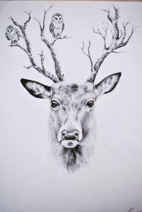 deer drawing on Tumblr