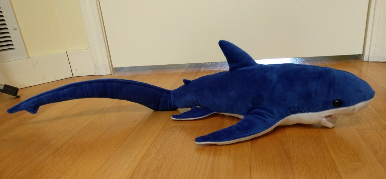 thresher shark plush