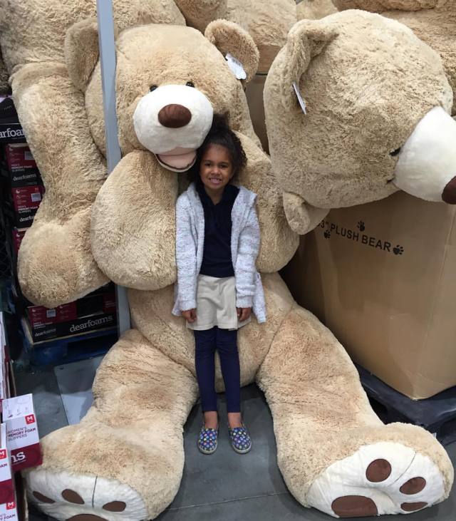 biggest teddy ever