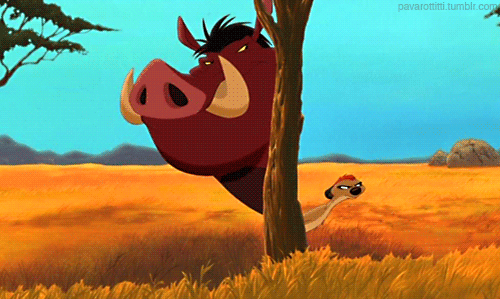 Image result for PUMBAA GIFS