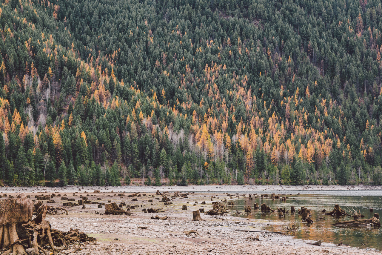 Hidden Landscapes Hidden Landscapes
