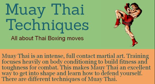 sifu-taichi-kungfu:Muay Thai Techniques - All about Thai...