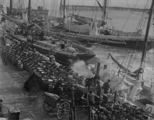 pier harbor fishing boats fishing schooner boston south boston leslie jones boston public library