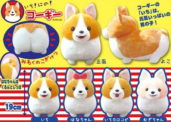 amuse corgi plush