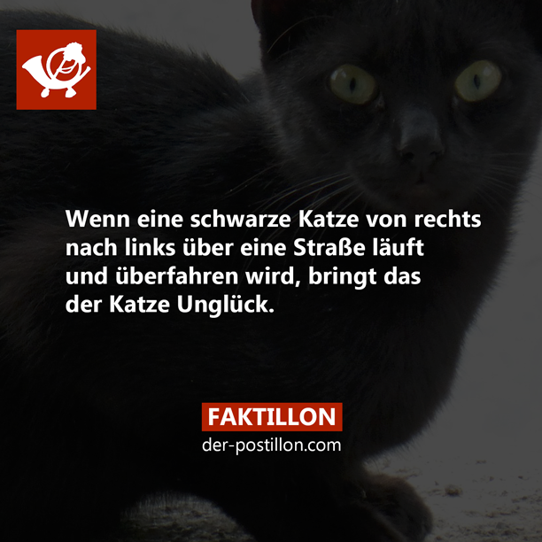 Tannmauser Faktillon Mehr Fakten Auf Faktillon