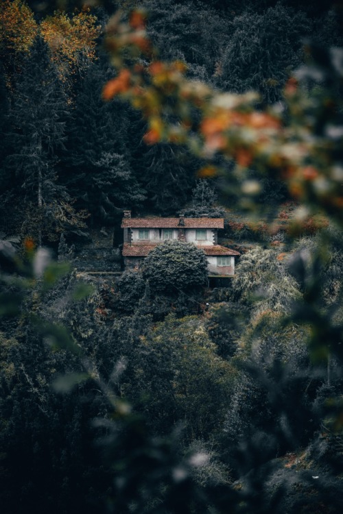 bokehm0n:Fall in love with the landscape of Madeira.