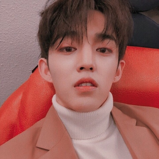 wonwoo