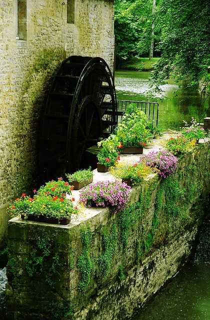 floralls:Normandy, Franceby  Rick Ligthelm