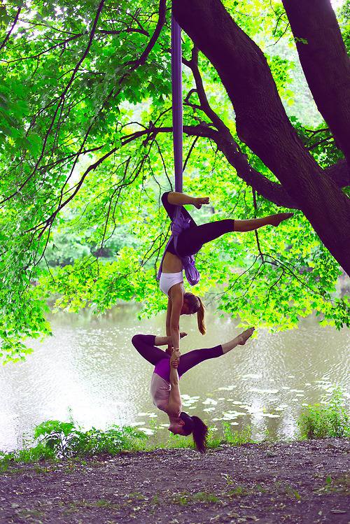 Aerial Silks On Tumblr