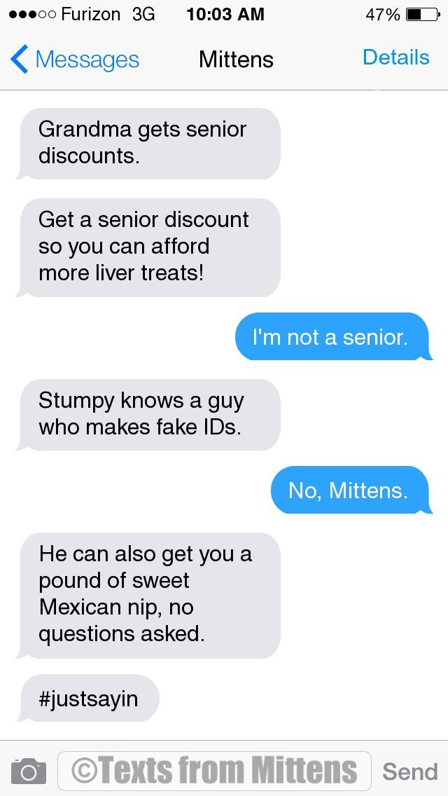 Texts from Mittens NEW Daily Mittens: The Senior Discount Edition...