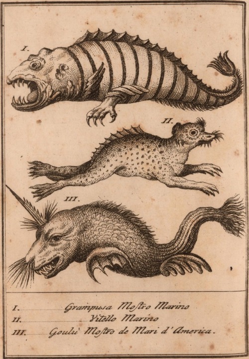 talesfromweirdland:Sea creatures spotted in the 18th century...