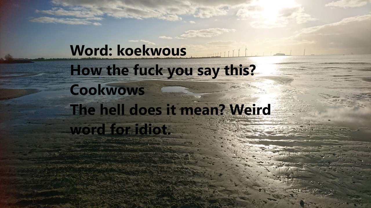 I Thought Id Share Some Dutch Curse Words In