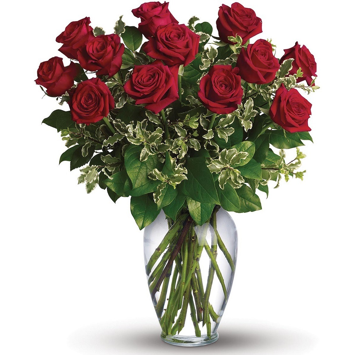 New Zealand Flowers — Stunning in simplicity ‘On My Mind’ deep red roses...