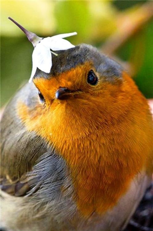 whatsoeverislovelyandpure