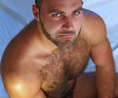 hairy chest - sexy muscle - mature men