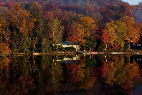 Amazing lakeside cabin on Cummings Lake, in Ontario.Photo...