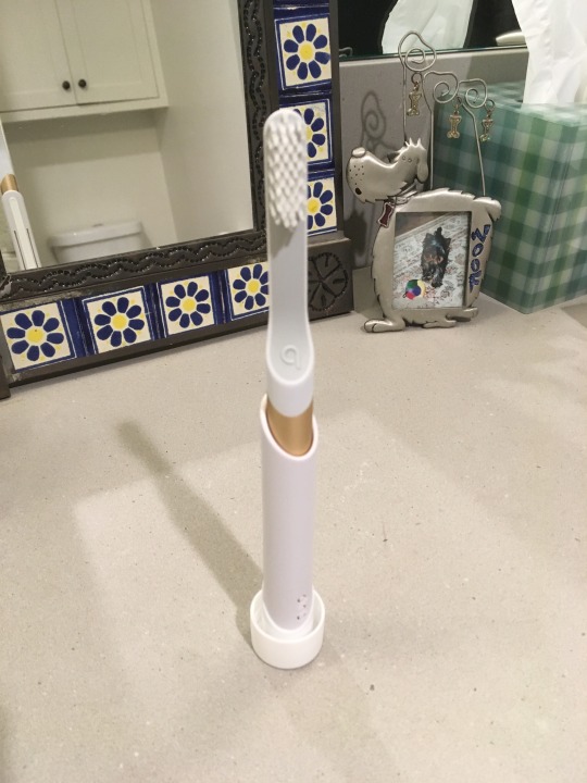 My New Hipster Toothbrush – No Ugly Duckling