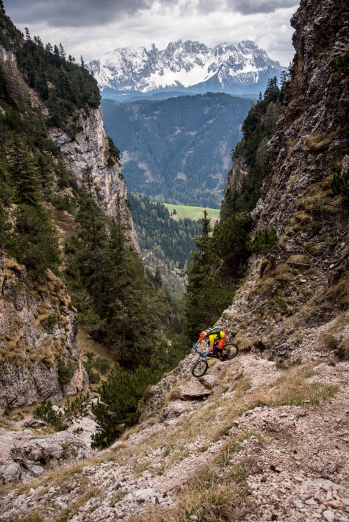 whiskey-andyou:alps