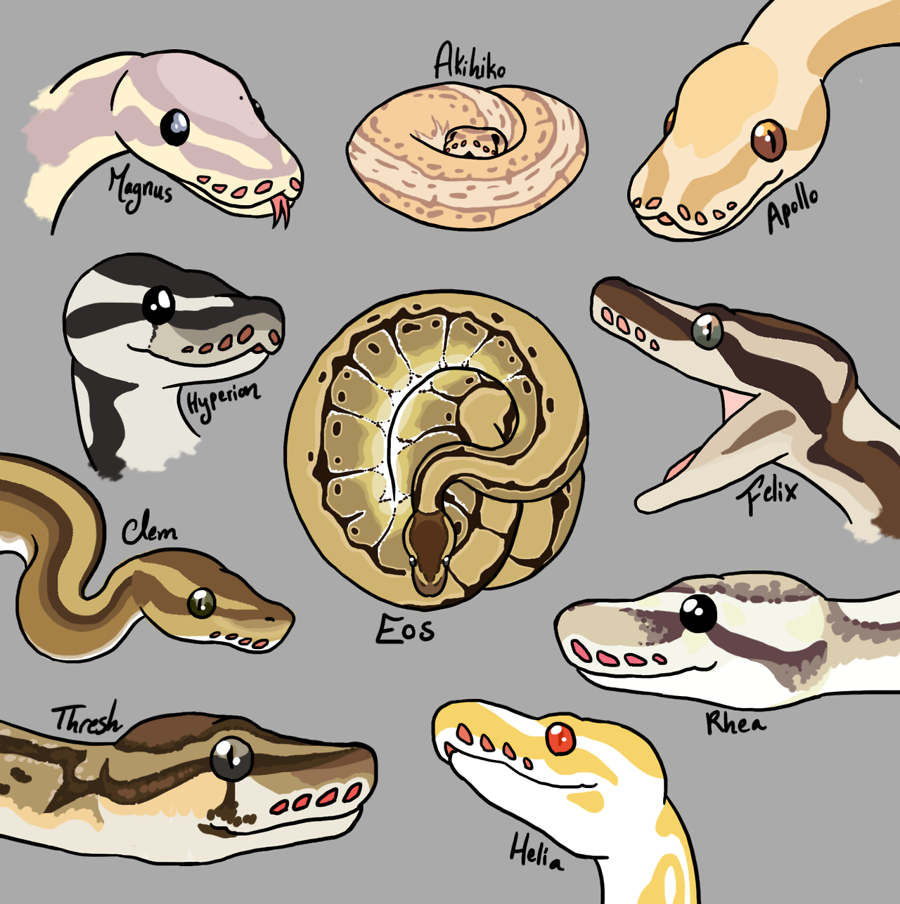 Art Sketch Doodle Snake Noodle Ball Python Draken Tekeningen Dier Images