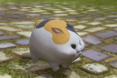 LOOK AT HIM GO!!!! LOOK AT HIM GO!!! LOOK AT HIM G