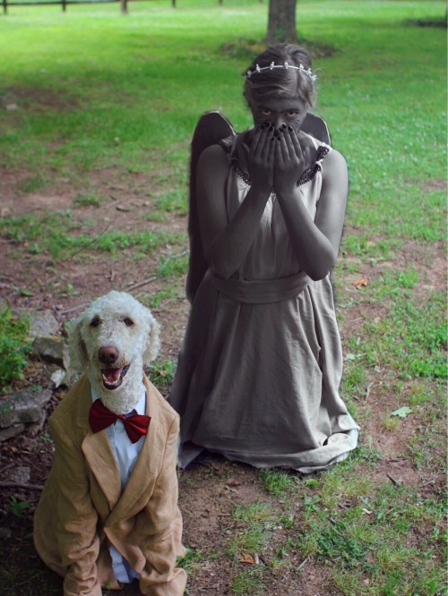 weeping angels on Tumblr