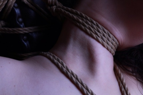 hajimekinoko:Bondage Model Kosame Photo&Rope Hajime Kinoko ...