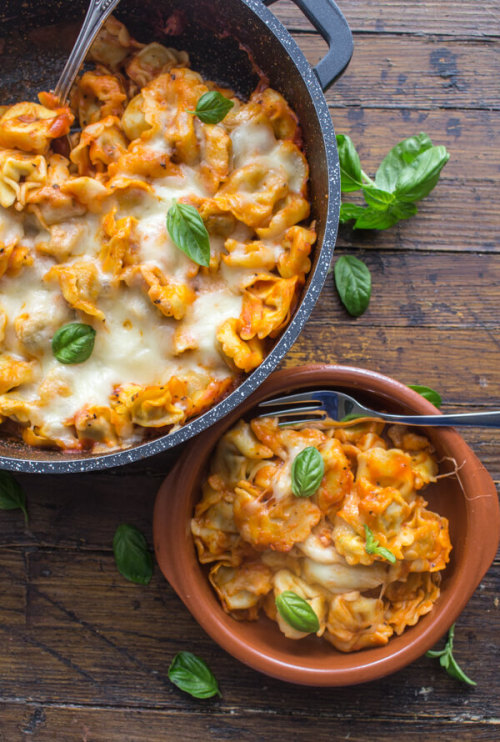 foodffs:SIMPLE SAUCE CHEESY BAKED TORTELLINIReally nice...