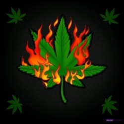 @420weedstyle