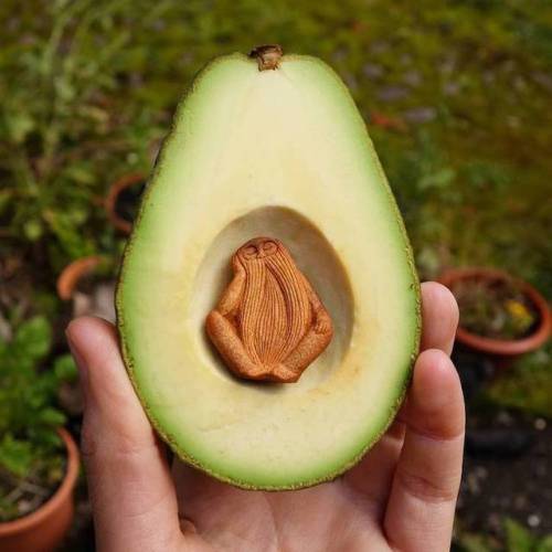 mymodernmet:Artisan Carefully Carves Avocado Pits into...