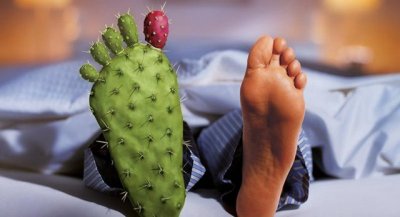 dieta a basso contenuto di ossalato e purina