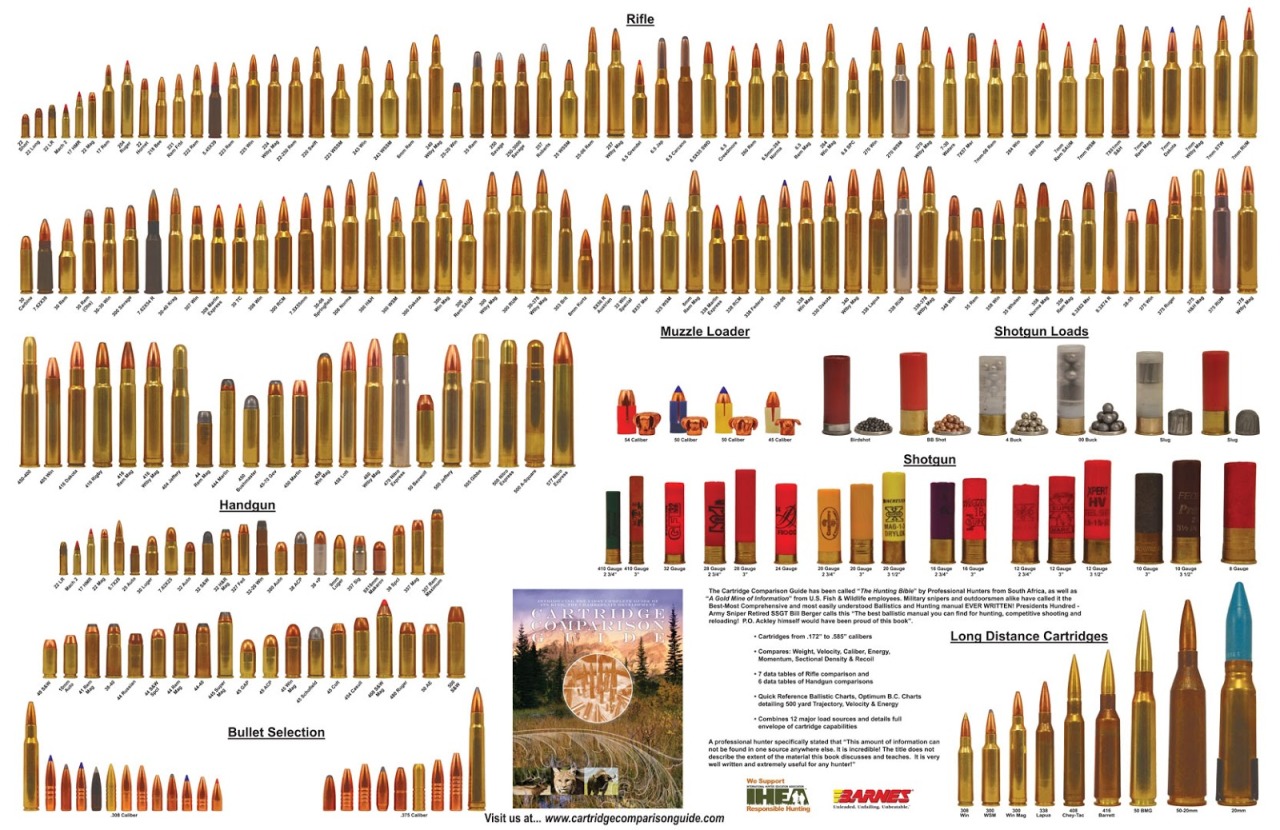 Bullet Energy Comparison Chart