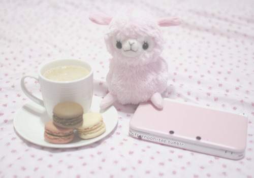 wildnewleaf:afternoon-tee:afternoon tea, macaroons, &...