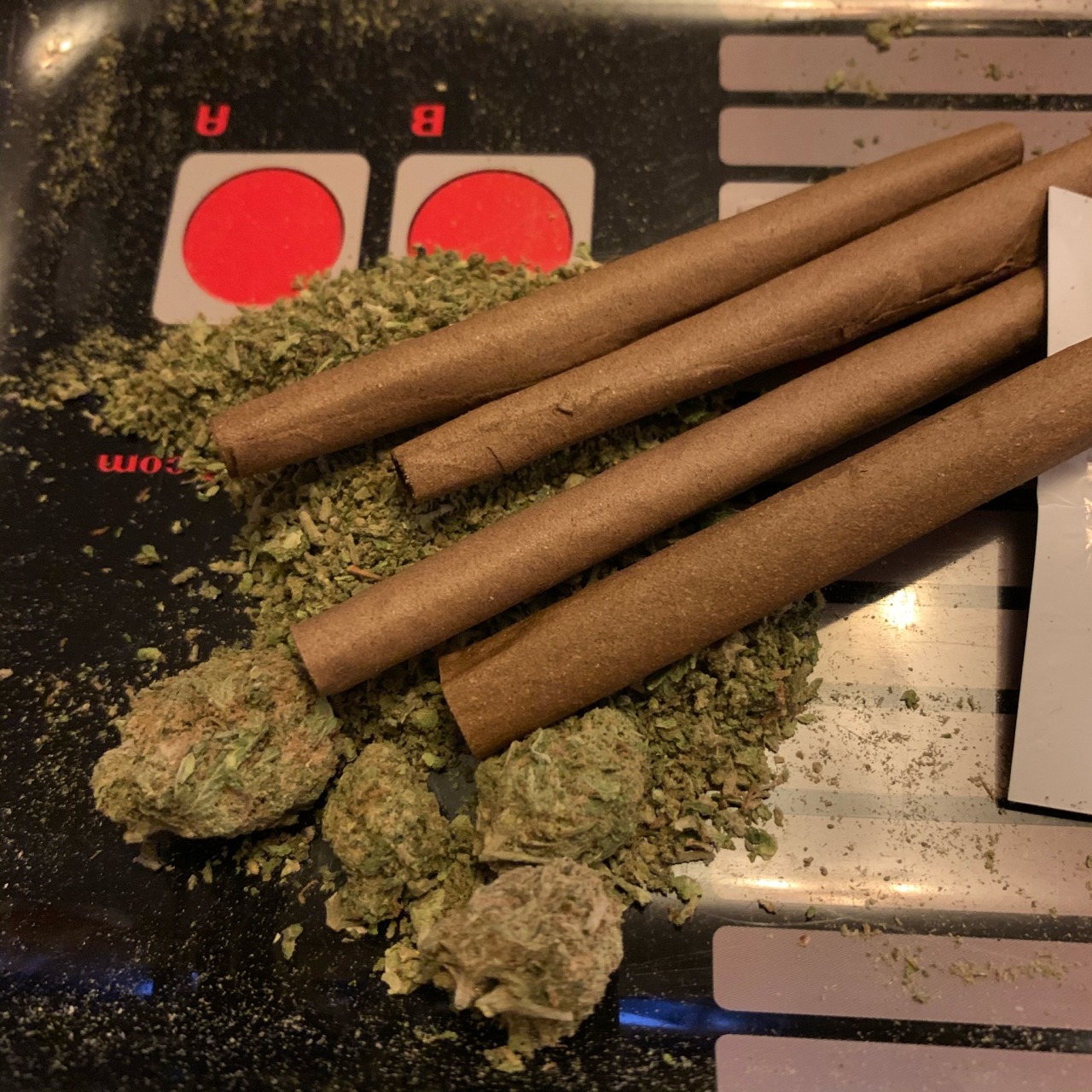 bluntwrap on Tumblr