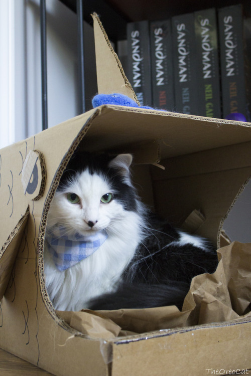 theoreocat:I like my fancy heated bed,And that spot on your...