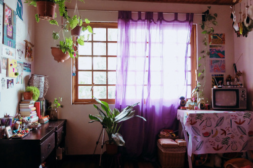 sweetandsoft:I rearranged my room because I bought a big plant...