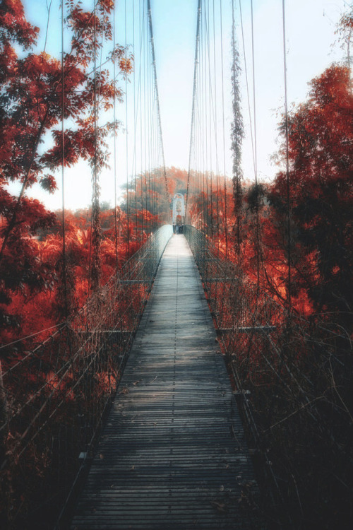 lsleofskye:Towards my dream | Hanson Mao(毛延延)