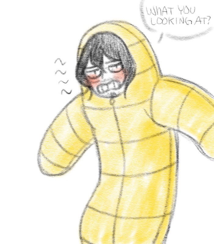 mr aizawa sleeping bag plush