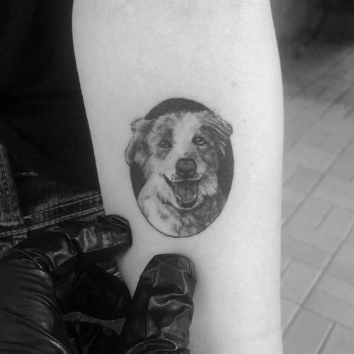 By Alexandyr Valentine, done at The Painted Lady Tattoo Studio,... small;pet;dog;single needle;animal;facebook;forearm;twitter;portrait;alexandyrvalentine