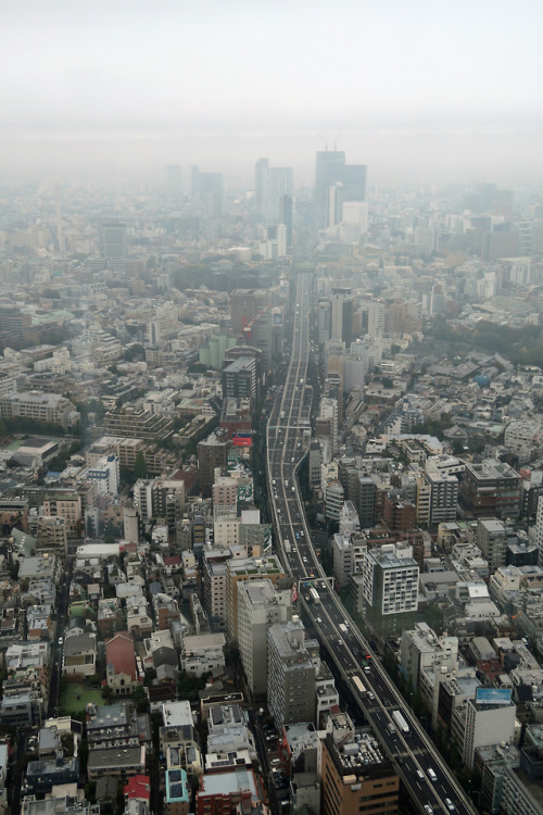 ninetail-fox:a cloudy day ,Roppongi