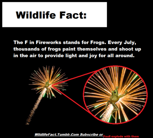 wildlife fact frog