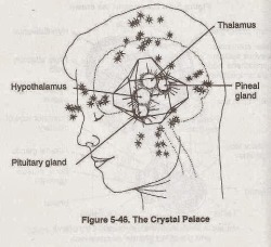 @Erratic Frequency Shift