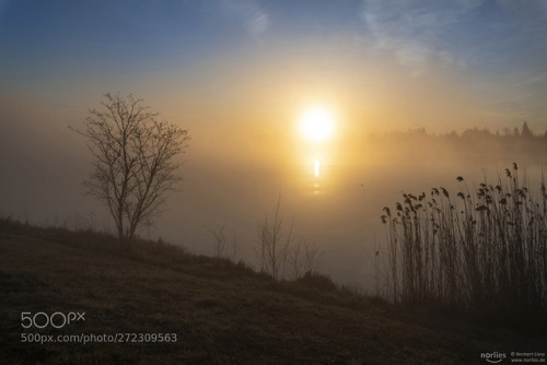 jjordan7:morning sun by norlies