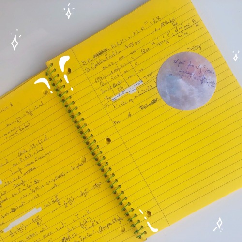 studywithava