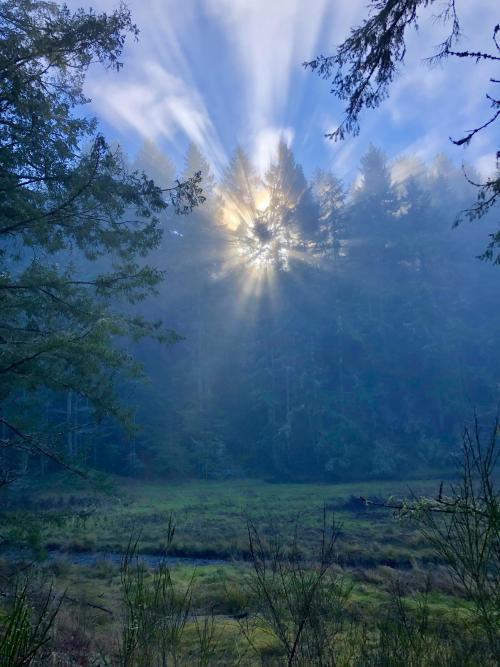 amazinglybeautifulphotography