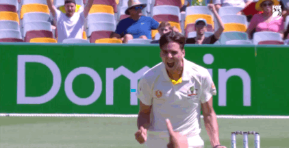 aa-cricket:jhye’s first ever test wicket