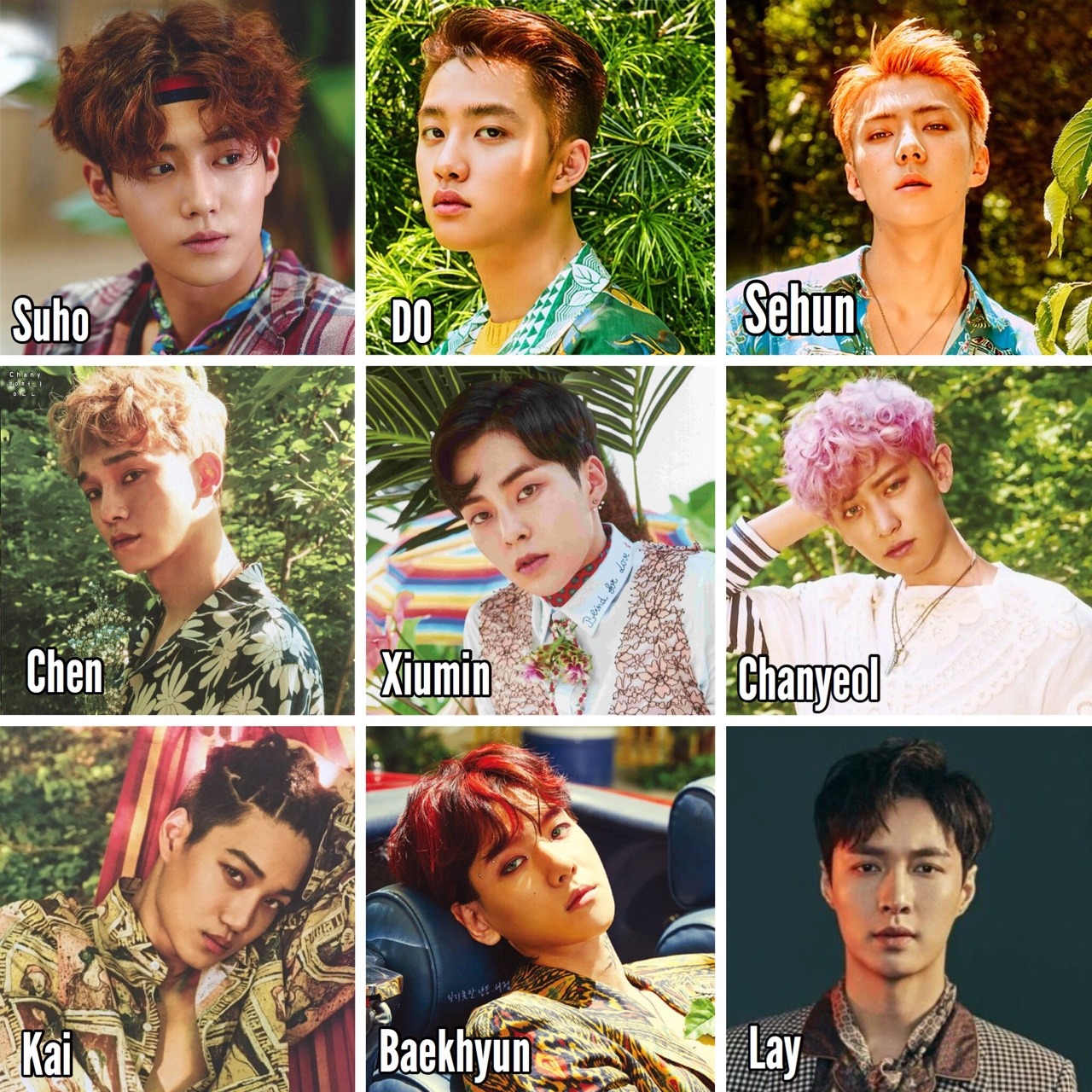  Exo  Images With Names  exo  2022