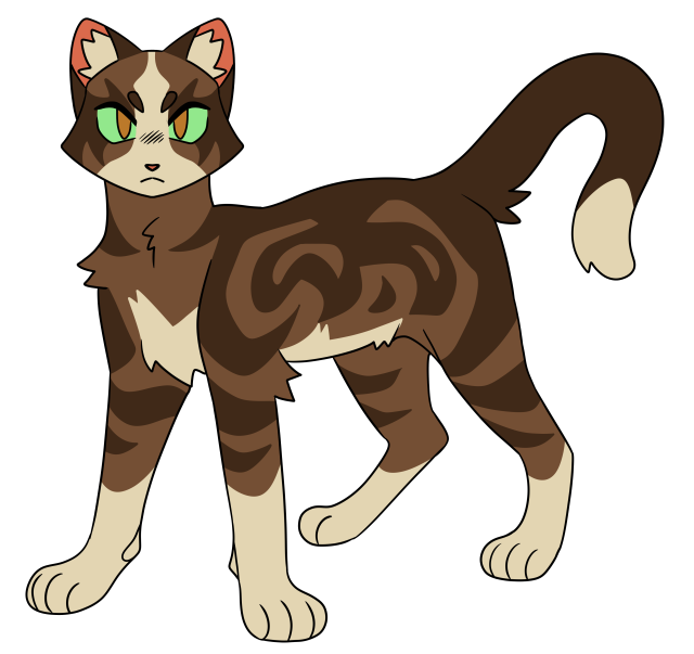 The Lost Warrior of ThunderClan!! 🐾 Warrior Cats: The Lost Tales