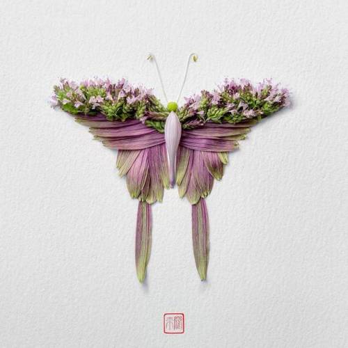 itscolossal:New Flower Arrangements Formed Into Exotic...